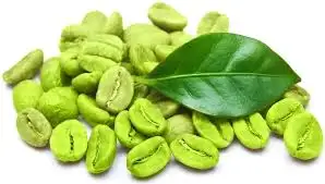 Cacao Ingredient